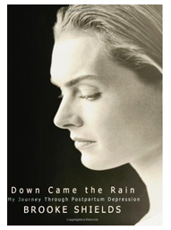 Down Came the Rain - Brooke Shields